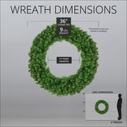 Olympia Pine Unlit Wreath