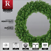 Olympia Pine Unlit Wreath