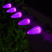 C9 Purple OptiCore LED Bulbs