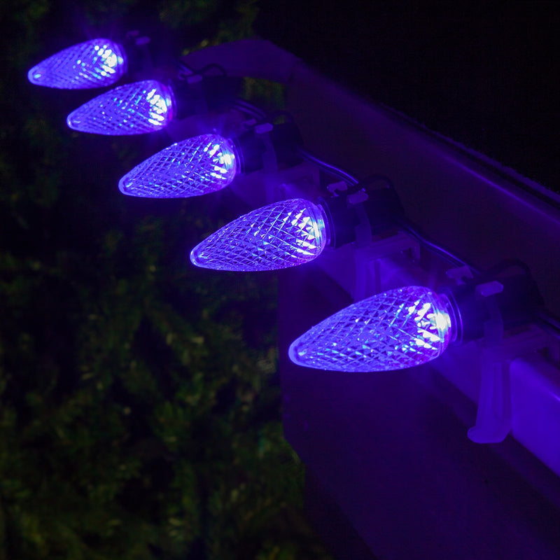 C9 Purple Kringle Traditions LED Bulbs