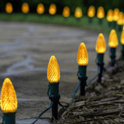 C9 Gold OptiCore LED Bulbs