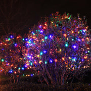 C9 Multicolor Kringle Traditions LED Bulbs