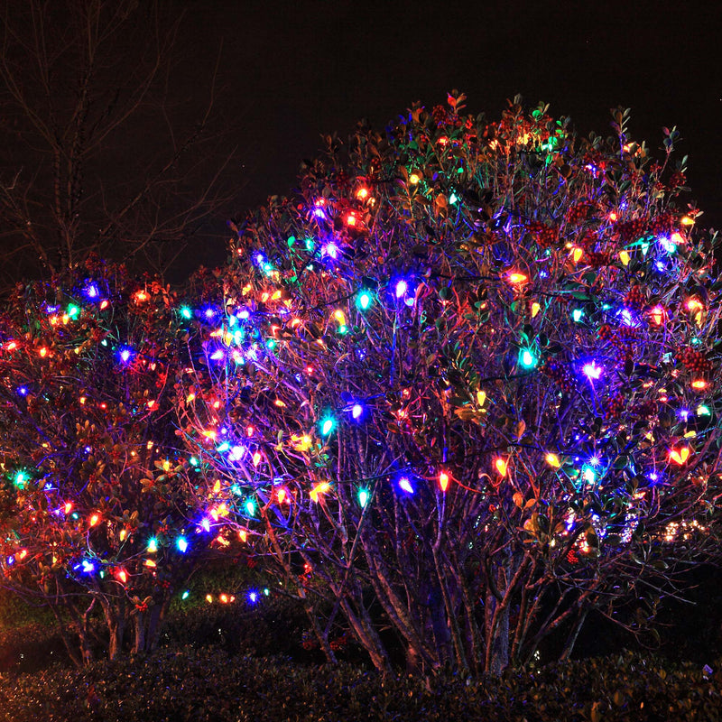 C9 Multicolor Kringle Traditions LED Bulbs