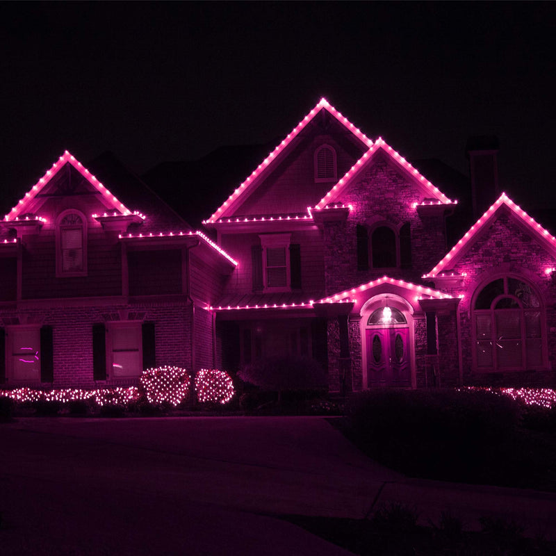 C9 Pink Kringle Traditions LED Bulbs