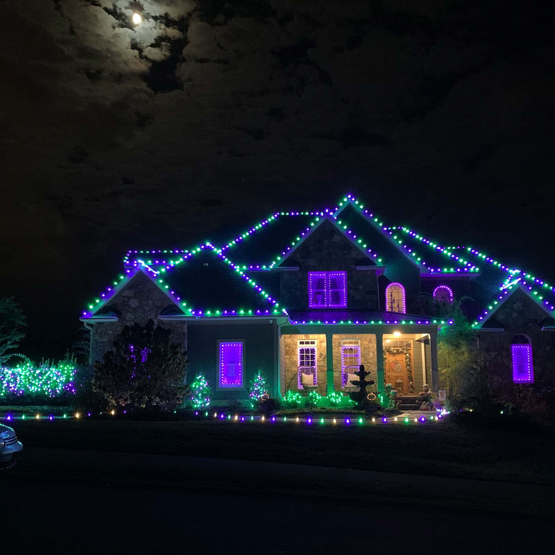 C9 Purple OptiCore LED Bulbs