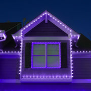 C9 Purple Kringle Traditions LED Bulbs