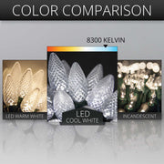 25 C9 Cool White LED Christmas Lights, Green Wire, 8-inch Spacing