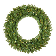 Douglas Fir Prelit LED Wreath, Warm White Lights