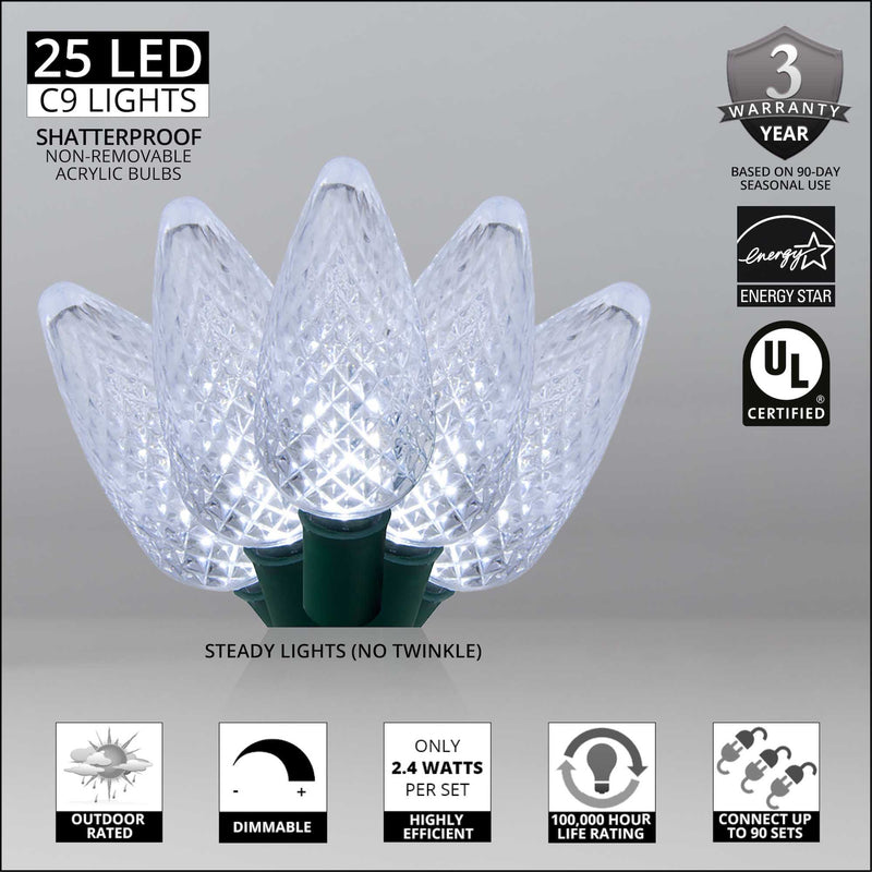 25 C9 Cool White LED Christmas Lights, Green Wire, 8-inch Spacing