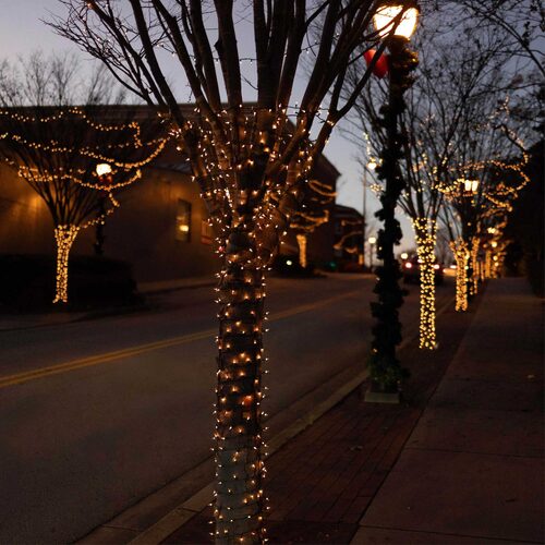 100 Clear Mini Lights, Green Wire, 2.5" Spacing