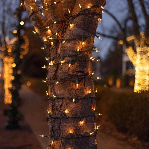 100 Clear Mini Lights, Green Wire, 6" Spacing