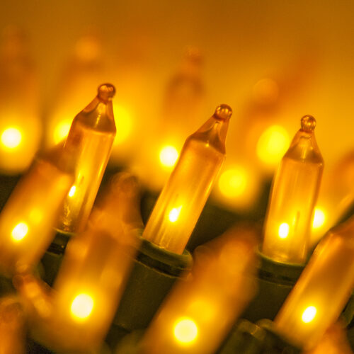 100 Gold Frost Mini Lights, Green Wire, 6" Spacing