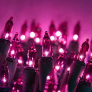 100 Purple Mini Lights, Green Wire, 6" Spacing