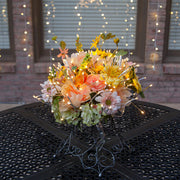 Silver Starburst Lighted Branches, Warm White LED Twinkle