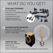 FlexFilament TM LED Patio String Light Set with G95 Edison Bulbs on Black Wire, with Drops