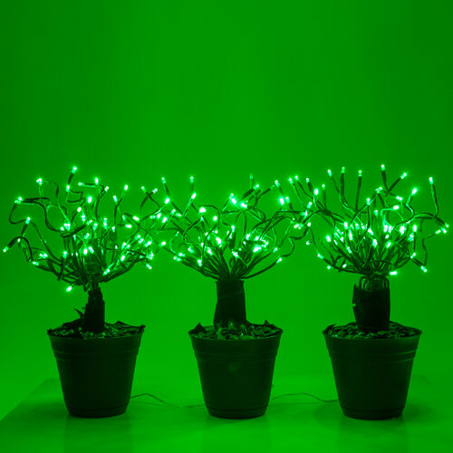 15" Green Starburst Lighted Branches, Green LED Twinkle, Set of 3