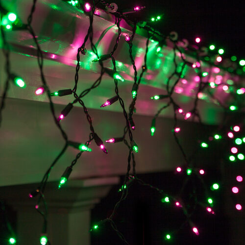 150 Green, Purple Mini Icicle Lights on Black Wire