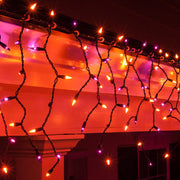 150 Orange, Purple Mini Icicle Lights on Black Wire