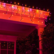 150 Orange, Purple Mini Icicle Lights on Black Wire