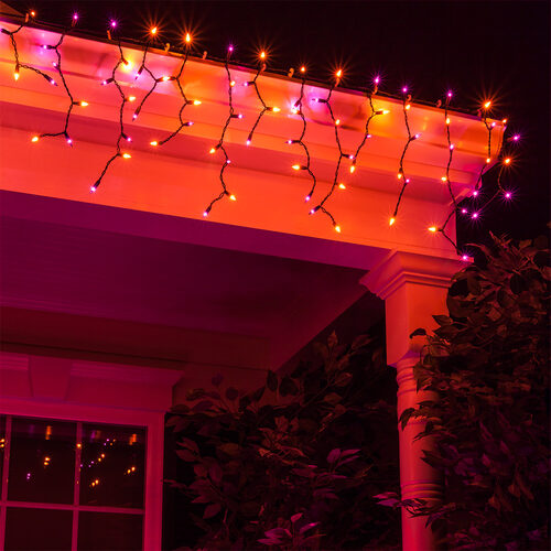 150 Orange, Purple Mini Icicle Lights on Black Wire