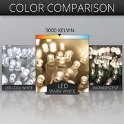 150 SoftTwinkle TM LED Curtain Lights, 66" Drops, 150 Warm White Lights, White Wire