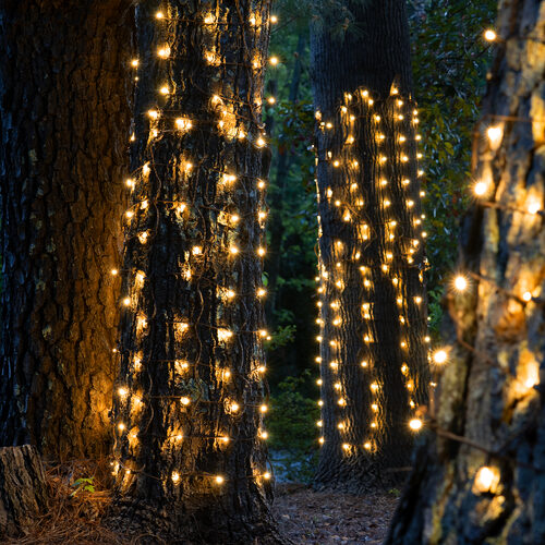 2' 6' Warm White 5mm LED Christmas Trunk Wrap Lights, 100 Lamps on Brown Wire