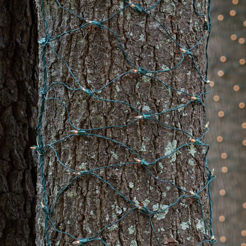 Mini Clear Mini Christmas Trunk Wrap Lights, Lights on Green Wire
