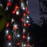 Red, Cool White StretchNet Pro 5mm LED Christmas Trunk Wrap Lights, Lights on Brown Wire