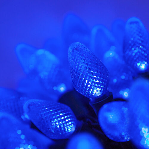 25 C7 Blue Commercial LED Lights, Green Wire, 6" Spacing