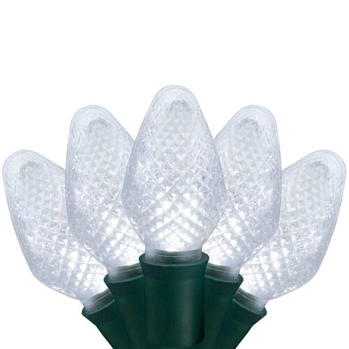 25 C7 Cool White LED Christmas Lights, Green Wire, 8" Spacing