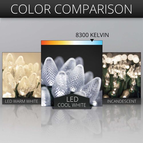 25 C7 Cool White LED Christmas Lights, Green Wire, 8" Spacing