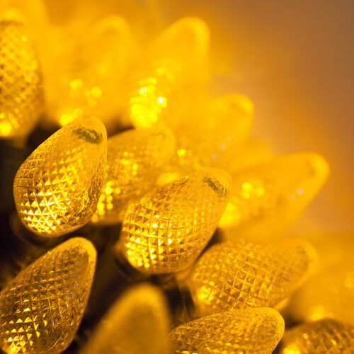 25 C7 Gold Commercial LED Lights, Green Wire, 12" Spacing