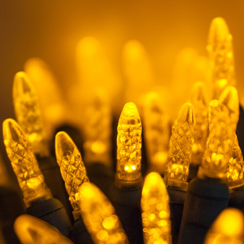 25 M5 Gold Commercial LED Lights, Green Wire, 4" Spacing