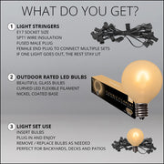Warm White FlexFilament TM Satin LED Patio String Light Set with G50 Bulbs on Black Wire, E17 Base