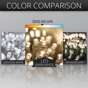 5mm Warm White LED Christmas Lights, White Wire