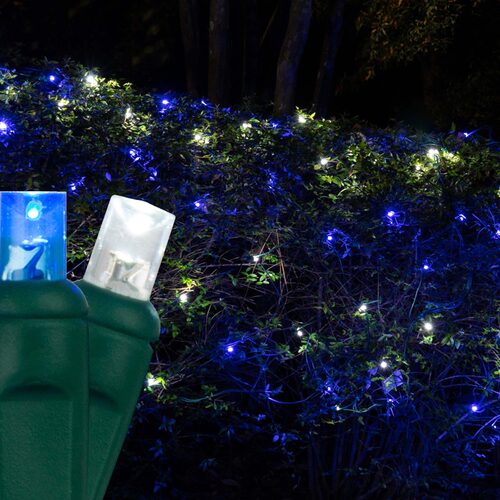 4' 6' 5mm Blue, Cool White 5mm LED Christmas Net Lights, 100 Lights on Green Wire