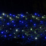 4' 6' 5mm Blue, Cool White SoftTwinkle 5mm LED Christmas Net Lights, 70 Lights on Green Wire