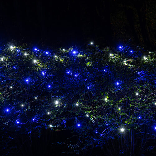 4' 6' 5mm Blue, Cool White SoftTwinkle 5mm LED Christmas Net Lights, 70 Lights on Green Wire