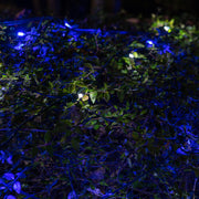 4' 6' 5mm Blue, Cool White SoftTwinkle 5mm LED Christmas Net Lights, 70 Lights on Green Wire