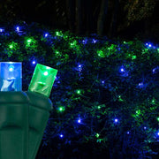 4' 6' 5mm Blue, Green 5mm LED Christmas Net Lights, 100 Lights on Green Wire