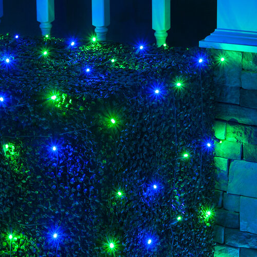 4' 6' 5mm Blue, Green 5mm LED Christmas Net Lights, 100 Lights on Green Wire