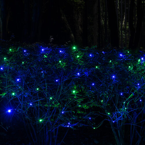 4' 6' 5mm Blue, Green SoftTwinkle 5mm LED Christmas Net Lights, 70 Lights on Green Wire