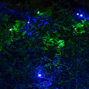 4' 6' 5mm Blue, Green SoftTwinkle 5mm LED Christmas Net Lights, 70 Lights on Green Wire
