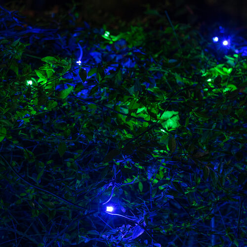 4' 6' 5mm Blue, Green SoftTwinkle 5mm LED Christmas Net Lights, 70 Lights on Green Wire