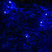 4' 6' 5mm Blue SoftTwinkle 5mm LED Christmas Net Lights, 70 Lights on Green Wire