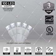 4' 6' 5mm Cool White 5mm LED Christmas Net Lights, 100 Lights on White Wire