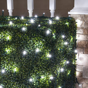 4' 6' 5mm Cool White Twinkle 5mm LED Christmas Net Lights, 100 Lights on Green Wire