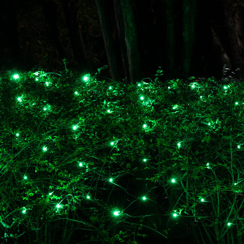 4' 6' 5mm Green SoftTwinkle 5mm LED Christmas Net Lights, 70 Lights on Green Wire