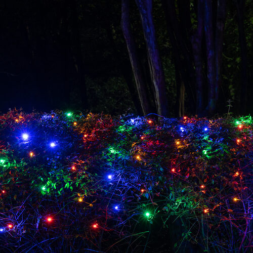 4' 6' 5mm Multicolor SoftTwinkle 5mm LED Christmas Net Lights, 70 Lights on Green Wire