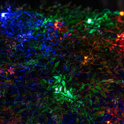 4' 6' 5mm Multicolor SoftTwinkle 5mm LED Christmas Net Lights, 70 Lights on Green Wire